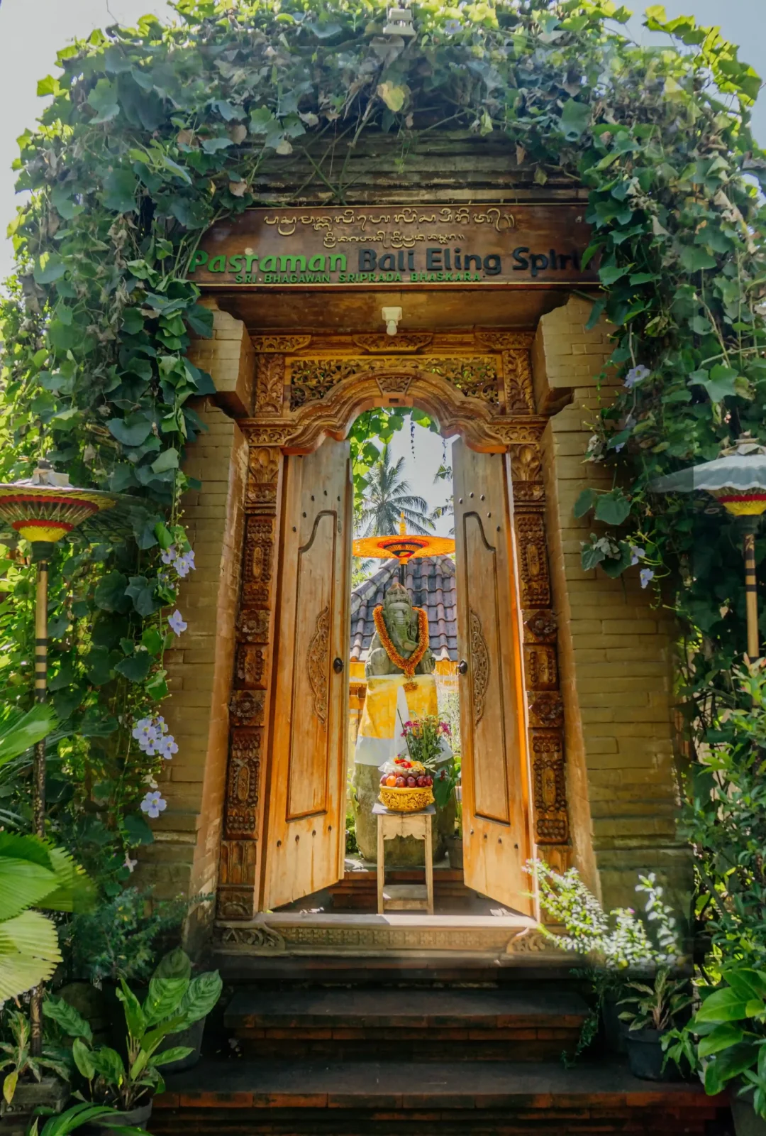 FIX LOGO ACADEMY_11zon